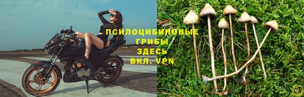 MDMA Армянск
